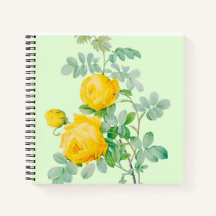 CUADERNO NOTEBOOK