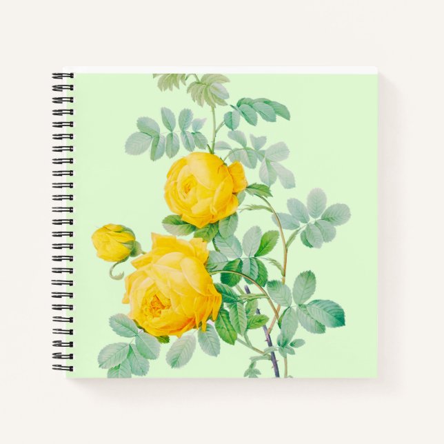 CUADERNO NOTEBOOK (Anverso)