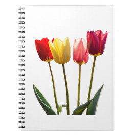 CUADERNO NOTEBOOK DE TULIP