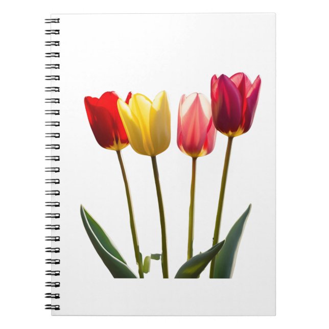 CUADERNO NOTEBOOK DE TULIP (Frente)
