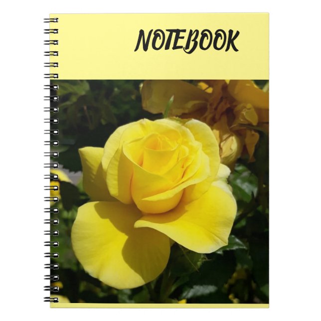Cuaderno Notitieboekje (Frente)
