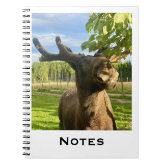 Cuaderno Notizbuch
