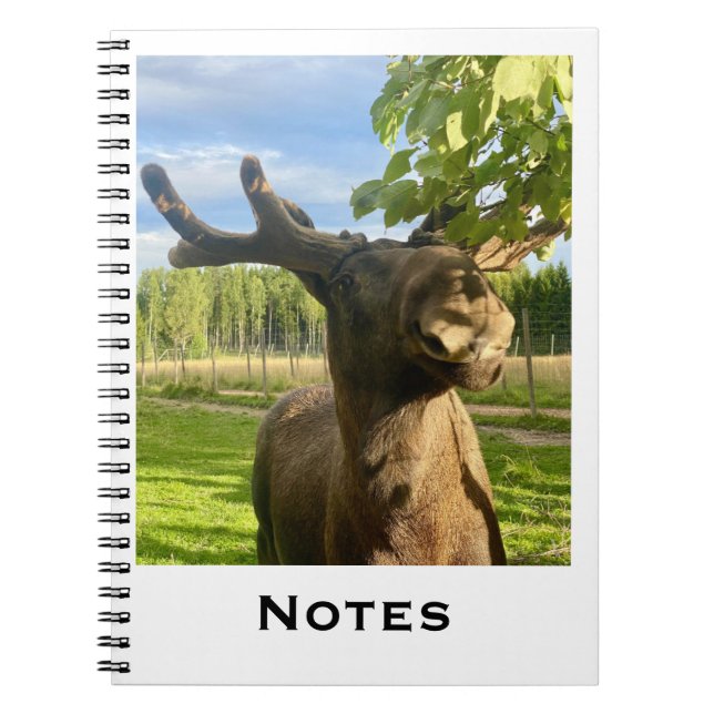Cuaderno Notizbuch (Frente)