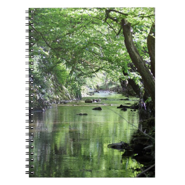 Cuaderno Notizbuch Waldbach (Frente)
