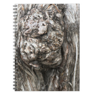 Cuaderno Nudo del tronco del árbol