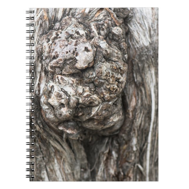 Cuaderno Nudo del tronco del árbol (Frente)