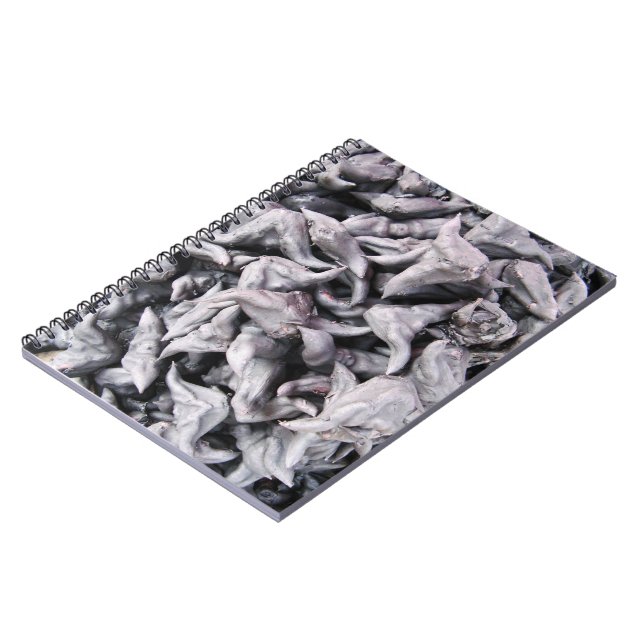 Cuaderno Nueces de búfalo - Caltropo de agua (Lado Izquierdo)