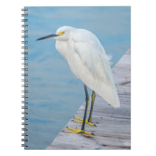 Cuaderno Nueva Smyrna Beach, Garceta Nívea en el muelle