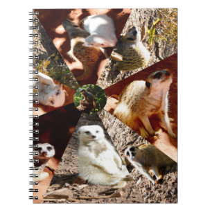Cuaderno Nueve triángulos de Meerkat, portátil