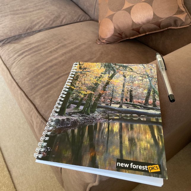 Cuaderno Nuevo bosque (Subido por el creador)