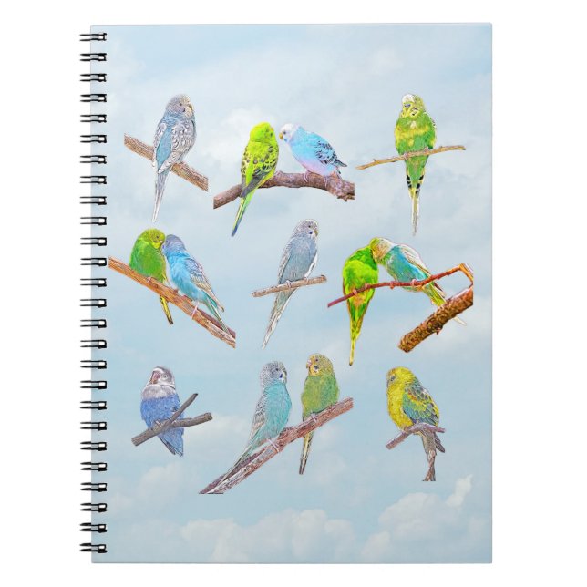 Cuaderno Numerosos paracaídas coloridos - pájaros lindos (Frente)