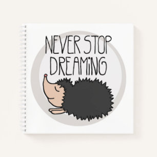 Cuaderno Nunca dejes de soñar
