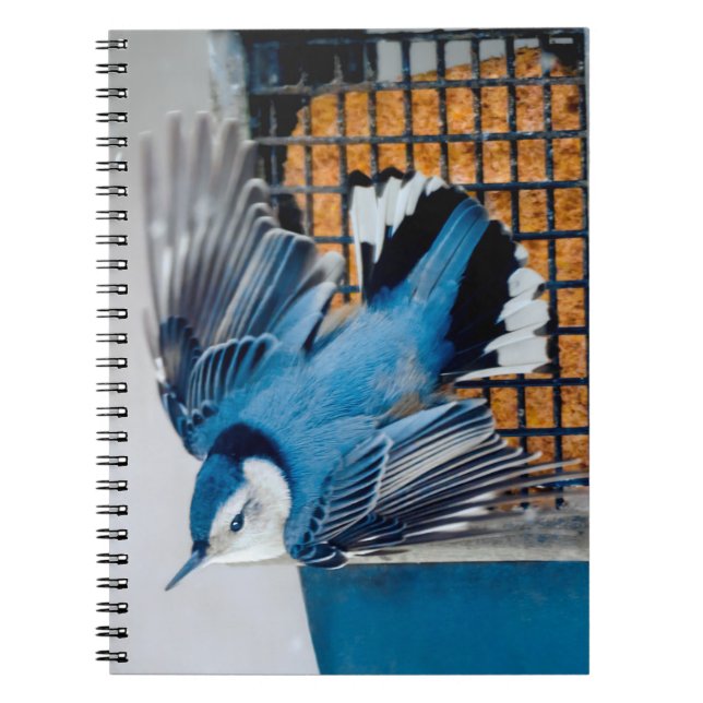 Cuaderno Nuthatch blanco en nieve - foto original (Frente)