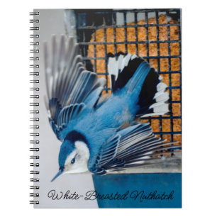 Cuaderno Nuthatch con pechos blancos en nieve - Foto origin