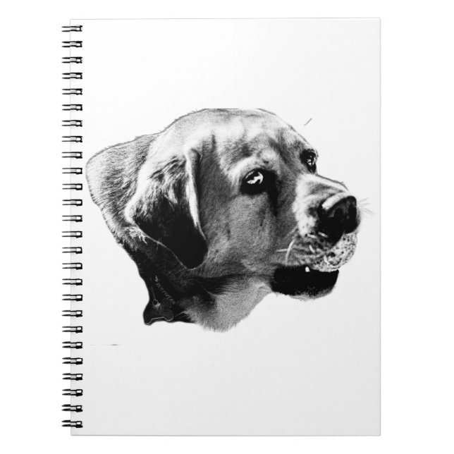 Cuaderno Objetivos de búsqueda - Laboratorio de visión late (Frente)