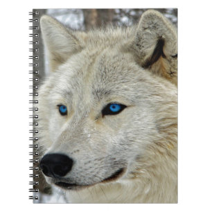 Cuaderno observado azul de White Wolf