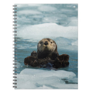 Cuaderno Obús flotante