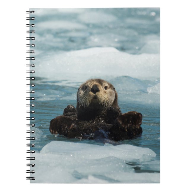 Cuaderno Obús flotante (Frente)