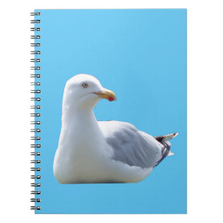 Cuaderno Ocean Seagulls Resting Bird Lover Wildlife