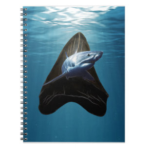 Cuaderno Océano diente de tiburón
