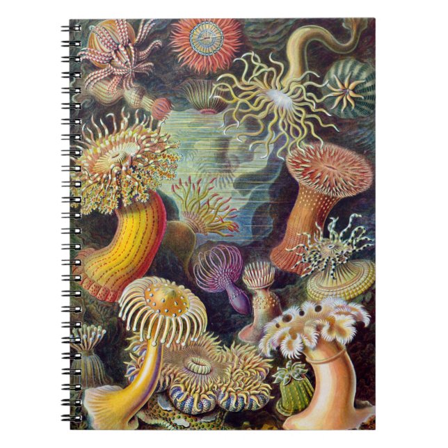 Cuaderno Océano marino Anemone Científico (Frente)
