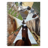 Ocho triángulos de caballo, portátil
