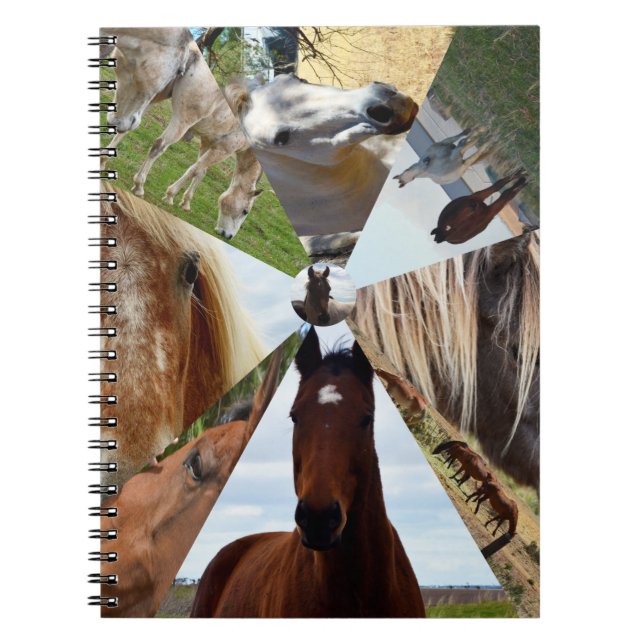 Cuaderno Ocho triángulos de caballo, portátil (Frente)