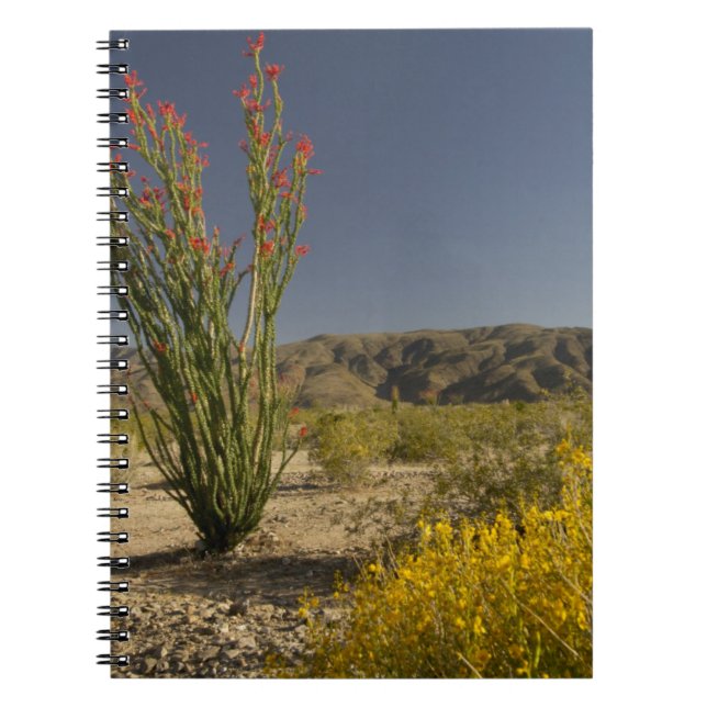 Cuaderno Ocotillo y senna del desierto (Frente)