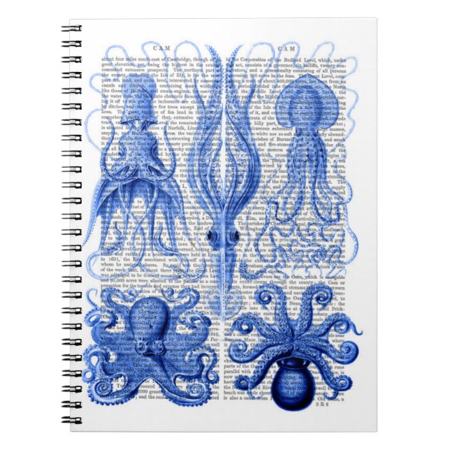 Cuaderno Octopus y azul calamar (Frente)