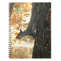 Cuaderno ocupado de la ardilla