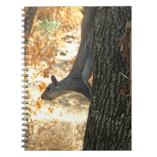 Cuaderno ocupado de la ardilla