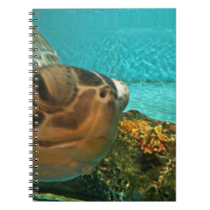 Cuaderno Ojeada divertida de la tortuga de mar