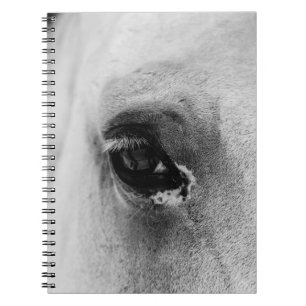 CUADERNO OJO DEL CABALLO BLANCO