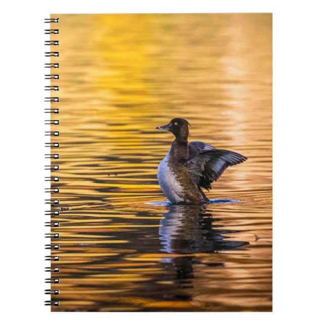 Cuaderno Ojo dorado en un lago dorado (Frente)
