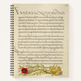 Cuaderno Ojo y mariposa de Joris Hoefnagel Pheasant 1562