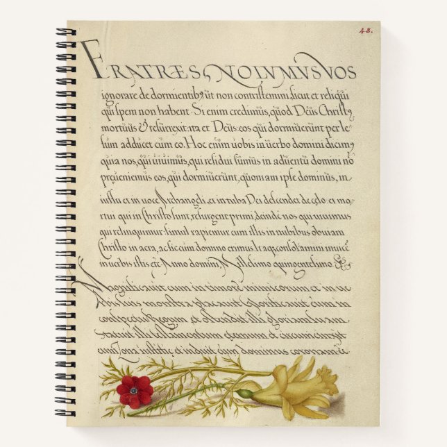 Cuaderno Ojo y mariposa de Joris Hoefnagel Pheasant 1562 (Anverso)