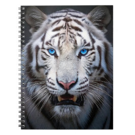 Cuaderno Ojos azules del tigre blanco