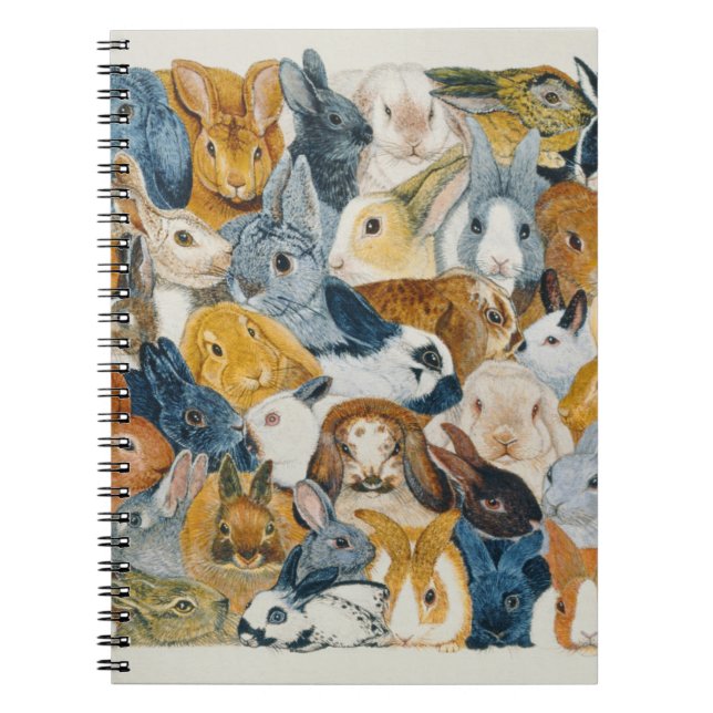 Cuaderno Ojos brillantes (Frente)