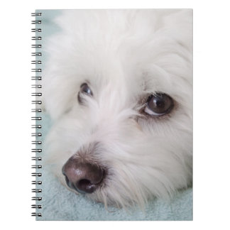 Cuaderno Ojos de Tulear Puppy del algodón
