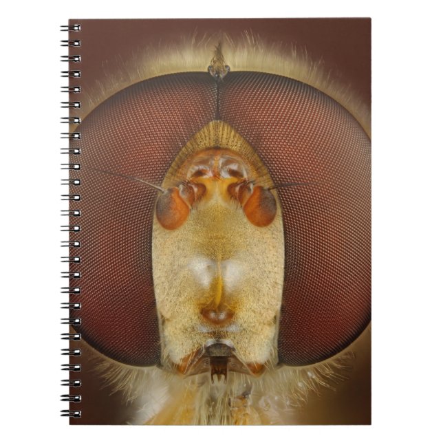 Cuaderno Ojos principales y compuestos de una mosca de la (Frente)