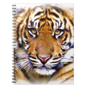 Cuaderno Ojos que ven_