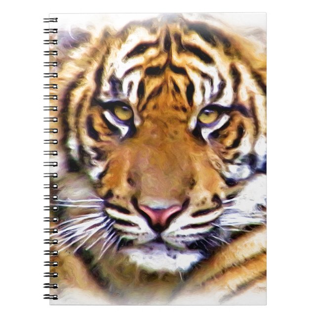 Cuaderno Ojos que ven_ (Frente)