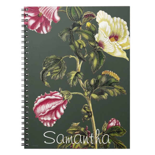 Cuaderno Okra (Frente)