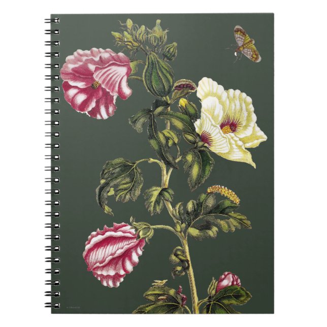 Cuaderno Okra (Frente)