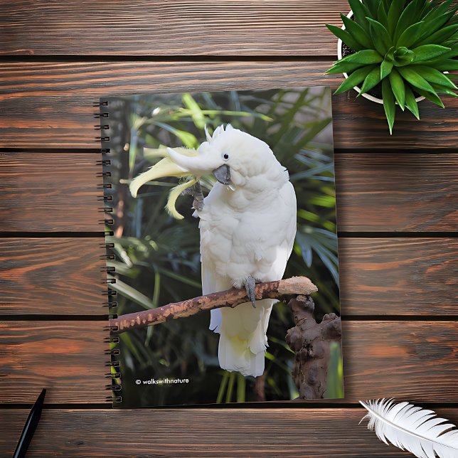 Cuaderno Olas de coco con crema de azufre al fotógrafo (Friendly Sulfur-Crested Cockatoo Waves at the Photographer Journal Cover Photo)