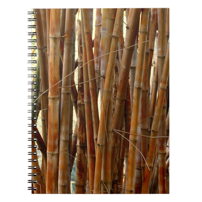 Cuaderno Old Bamboo (Frente)