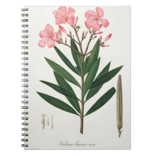 Cuaderno Oleander de "Phytographie Medicale" por el Ro de