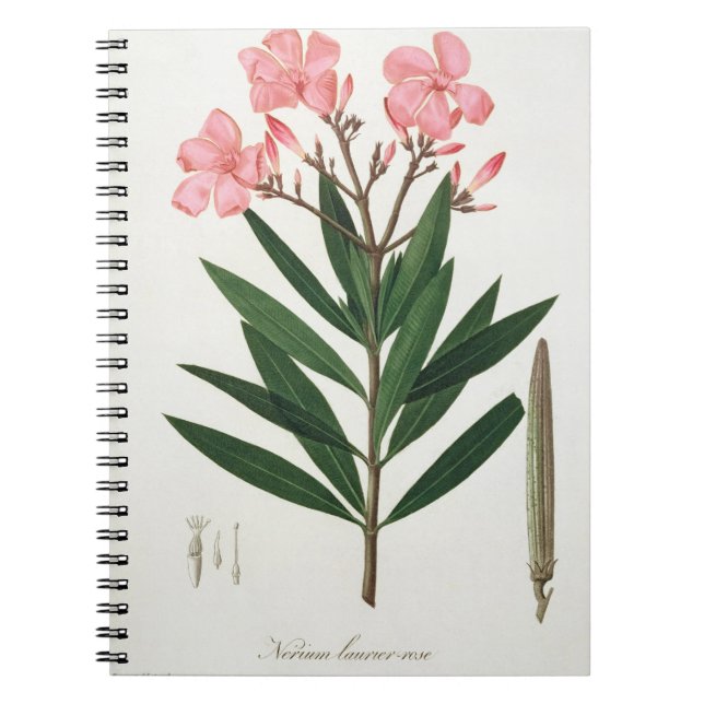 Cuaderno Oleander de "Phytographie Medicale" por el Ro de (Frente)