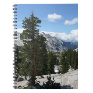 Cuaderno Olmsted Point III en el Parque Nacional Yosemite