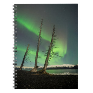 Cuaderno Olvidado Spruce Aurora